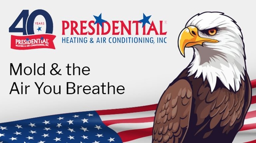Mold & the Air You Breathe