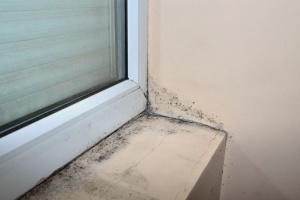 window
