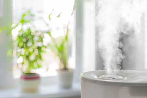 8 Everyday Ways to Improve Your Indoor Air Quality