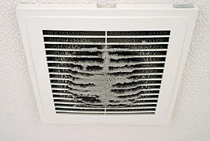 mold on a duct vent which will require the help of an HVAC contractor to remove