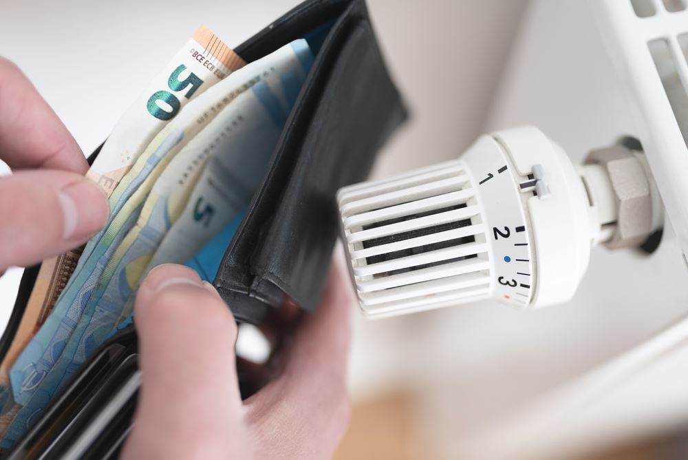 wallet with money
